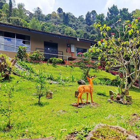 J Residence Kampong Kundassan エクステリア 写真