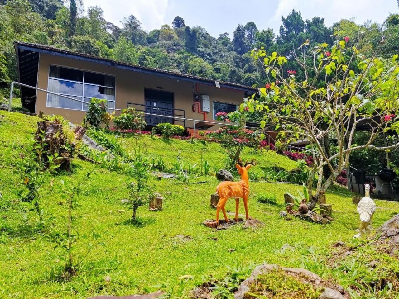 J Residence Kampong Kundassan エクステリア 写真